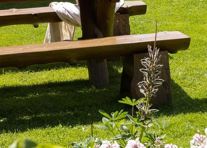 בית חווה U Dzikosa